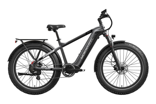 Basalt 2.0 Ebike