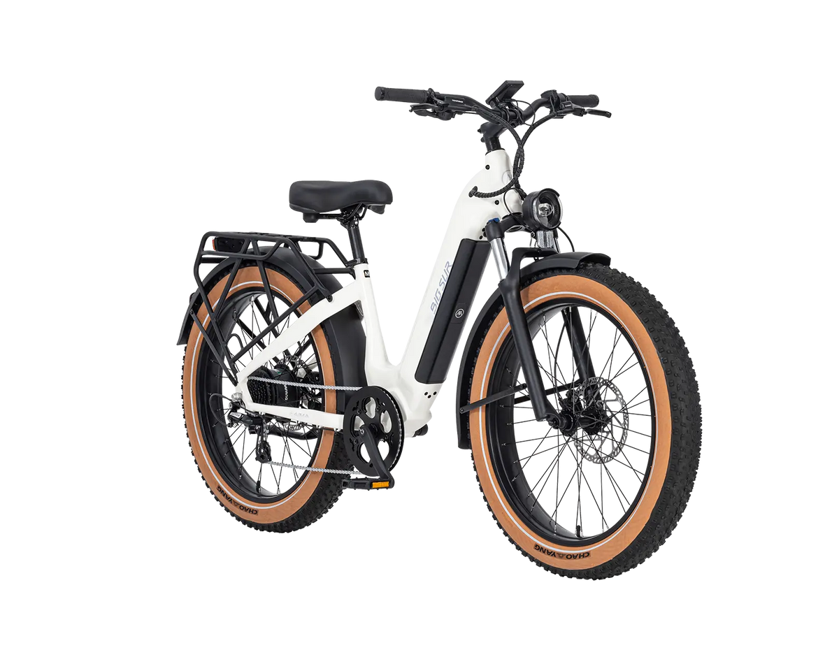 AIMA Big Sur Ebike - view 16