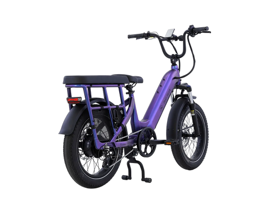AIMA Big Sur U Cargo Ebike - view 2