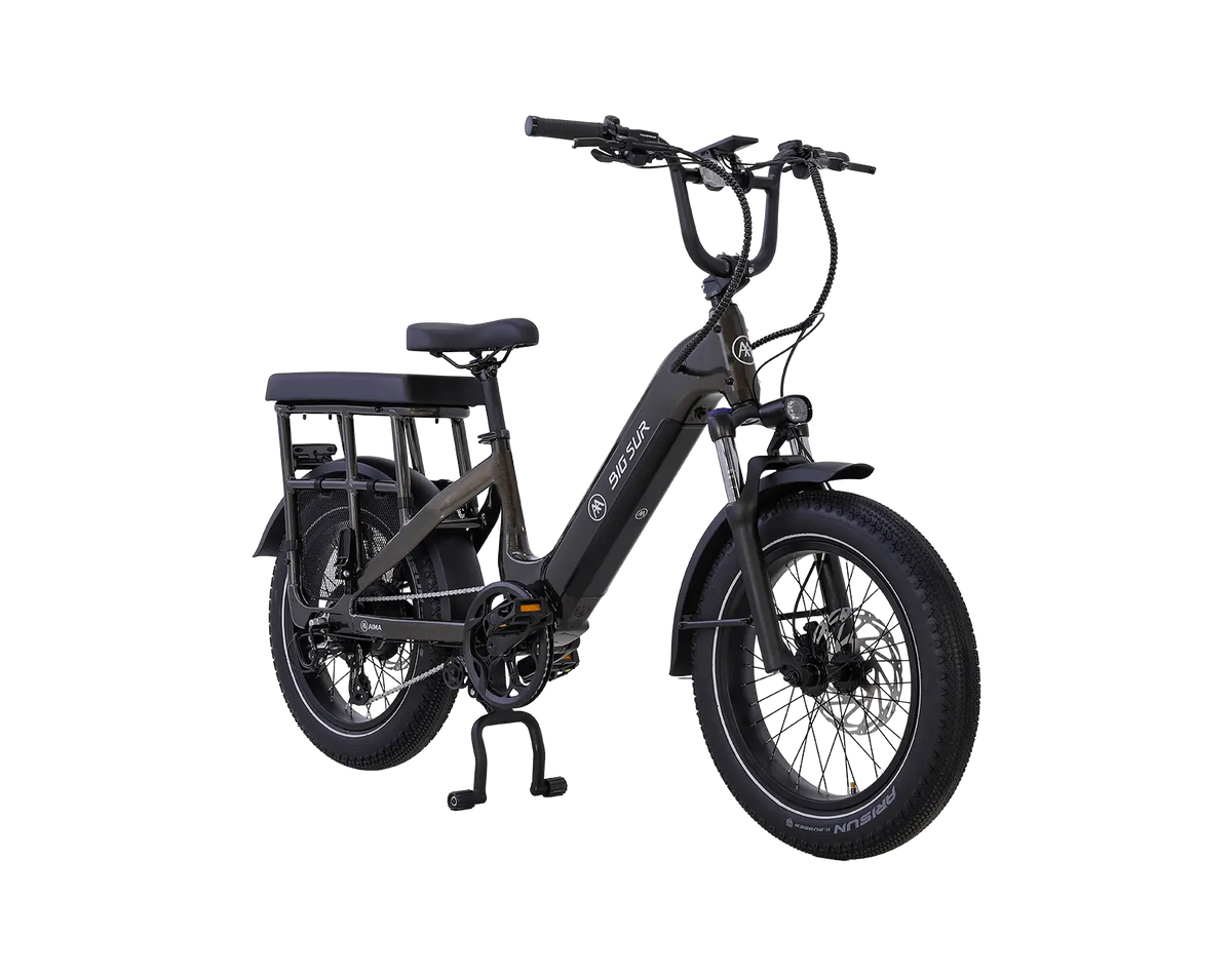 AIMA Big Sur U Cargo Ebike - view 16