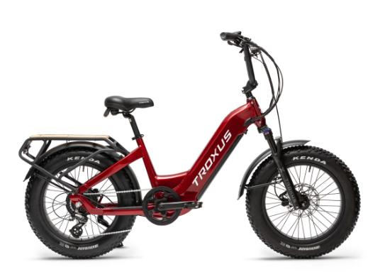 Lynx Plus 20" Fat Tire E-Bike