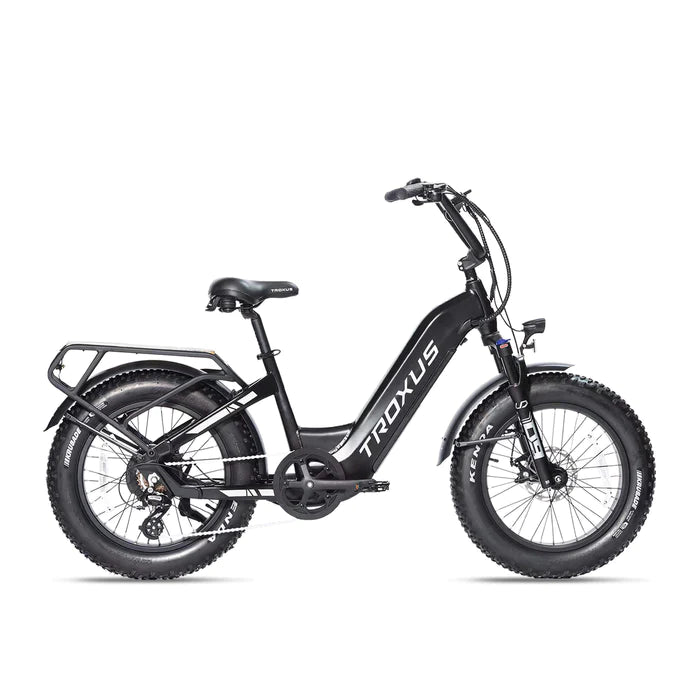 Lynx 20'' Fat Tire E-bike