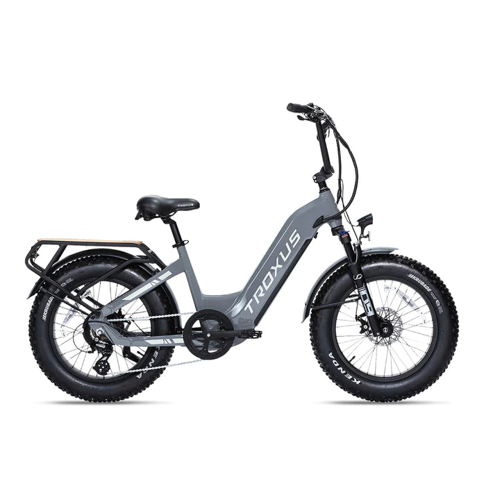 Lynx 20'' Fat Tire E-bike