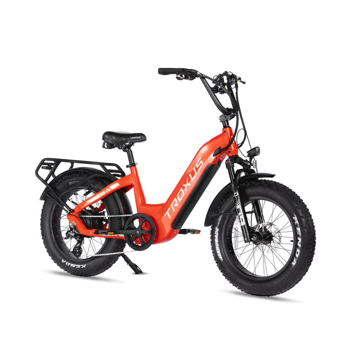 Lynx 20'' Fat Tire E-bike