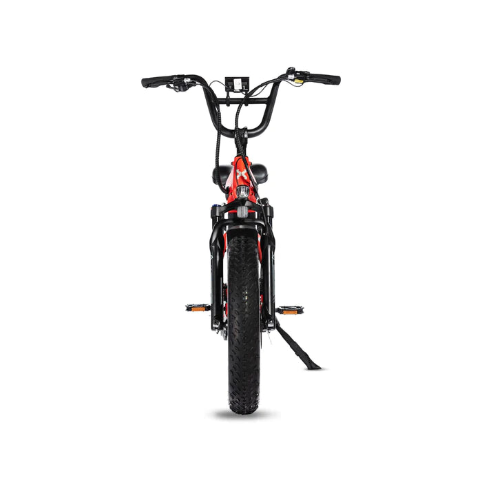 Lynx 20'' Fat Tire E-bike
