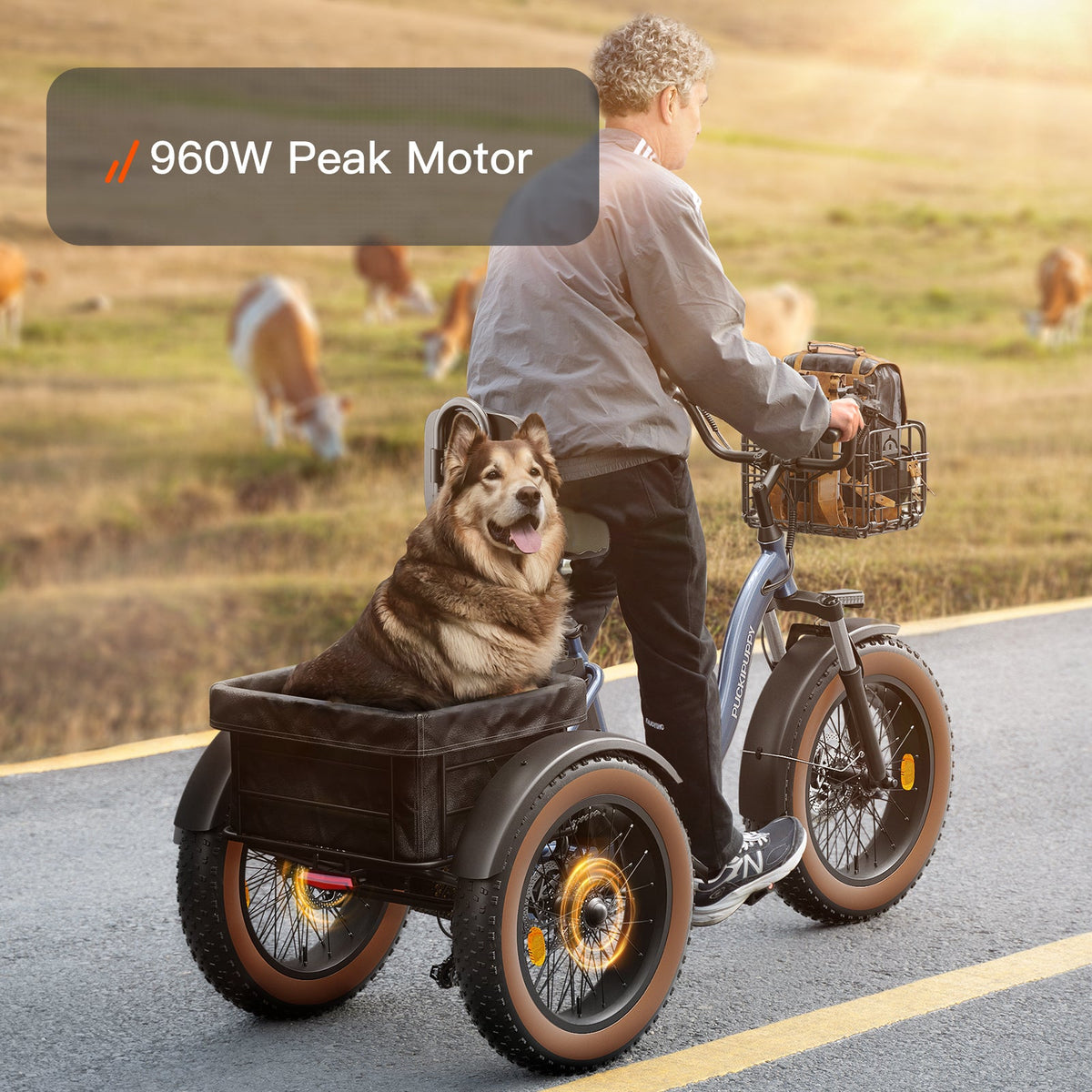 Puckipuppy Alaskan Etrike - view 27