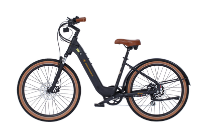 AIMA Santa Monica E-bike