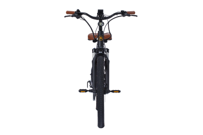 AIMA Santa Monica E-bike