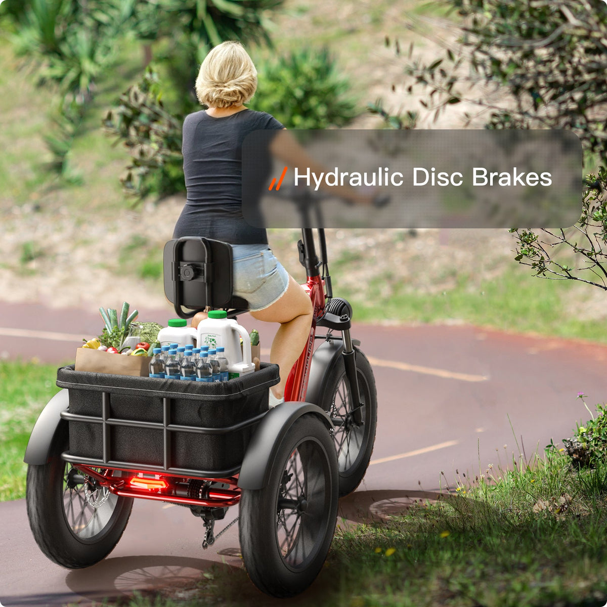 Puckipuppy Husky Plus Etrike - view 32