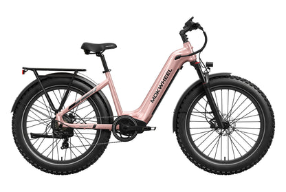 Basalt ST Ebike – Mokwheel product image 17