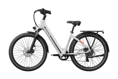 Asphalt ST Ebike
