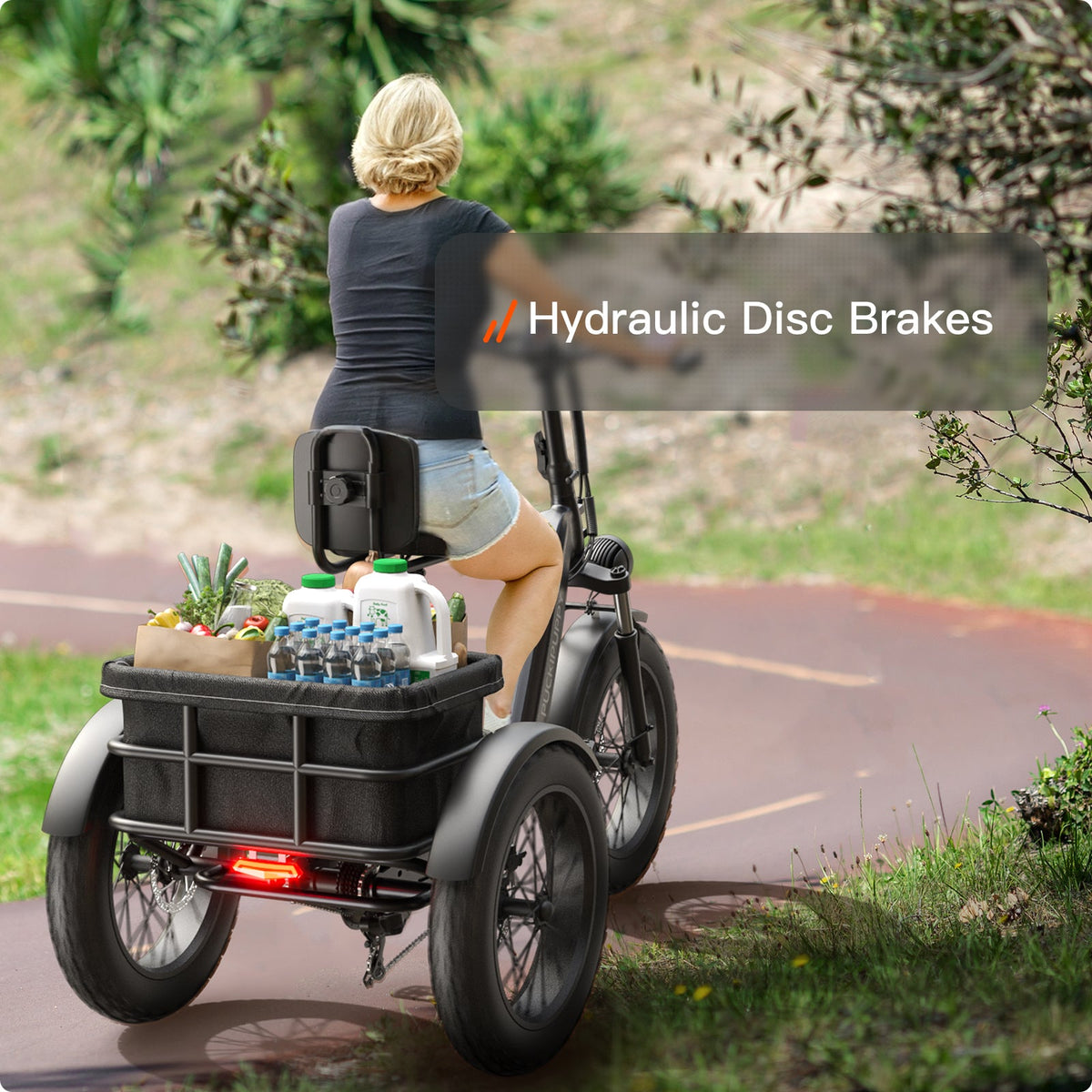 Puckipuppy Husky Plus Etrike - view 27