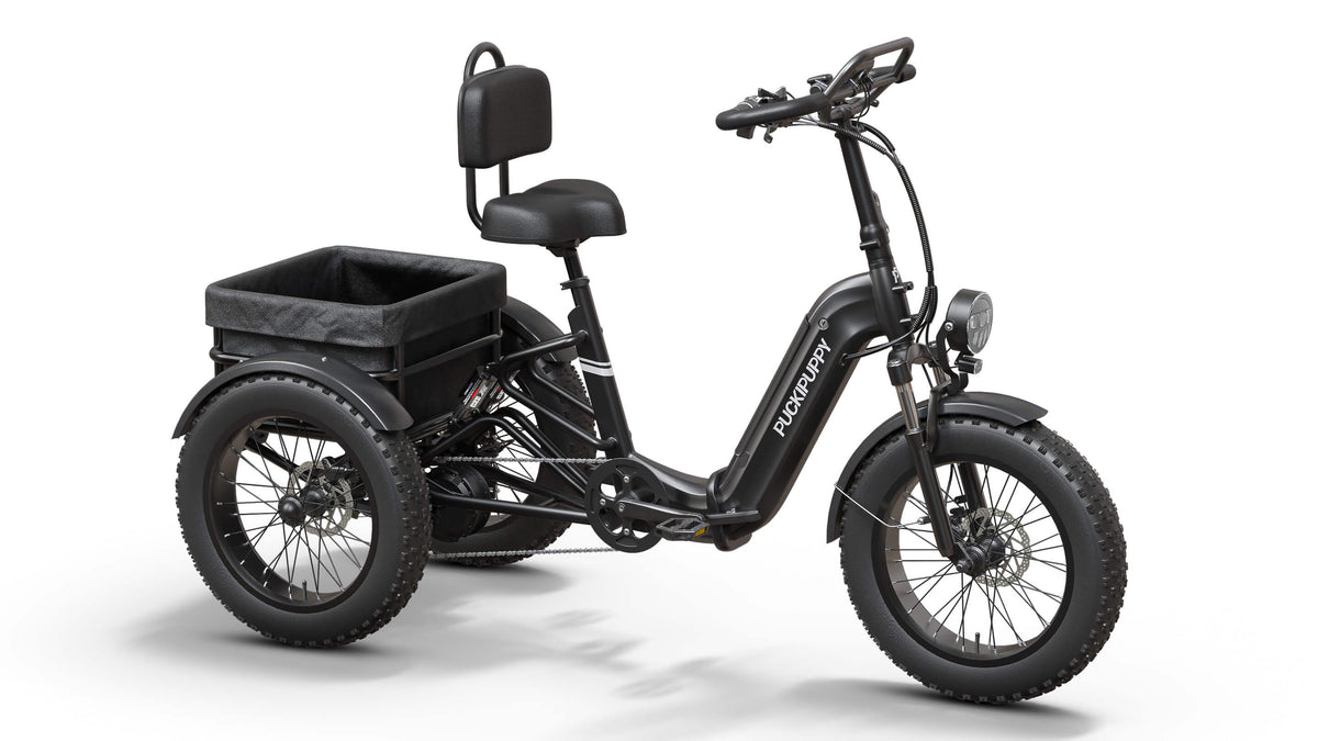 Puckipuppy Rottweiler Etrike - view 5