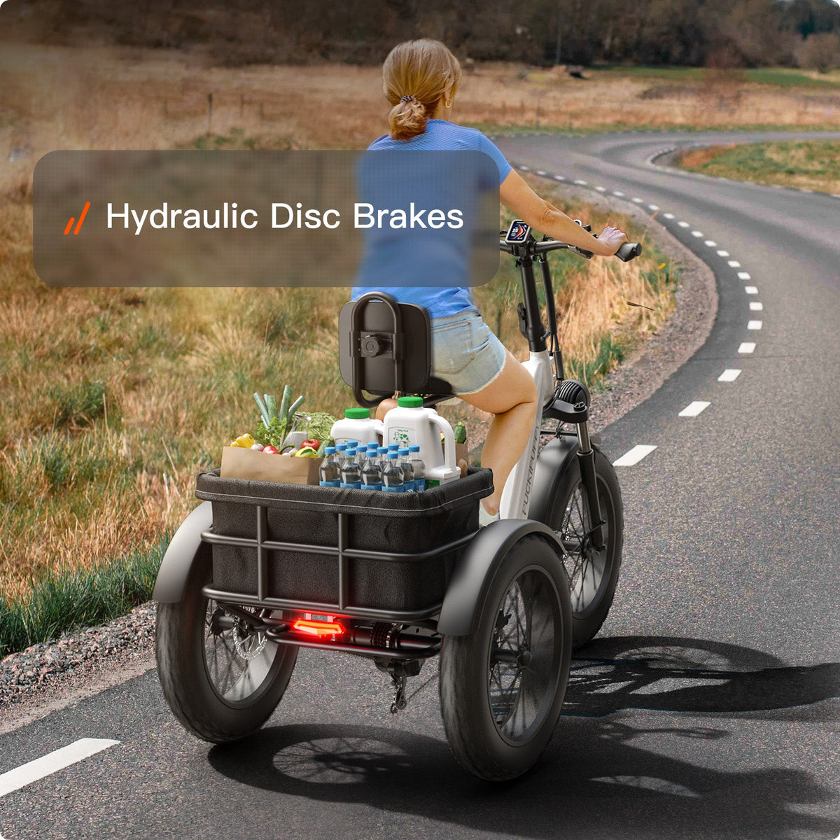 Puckipuppy Husky Plus Etrike - view 20