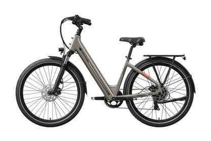 Asphalt ST Ebike