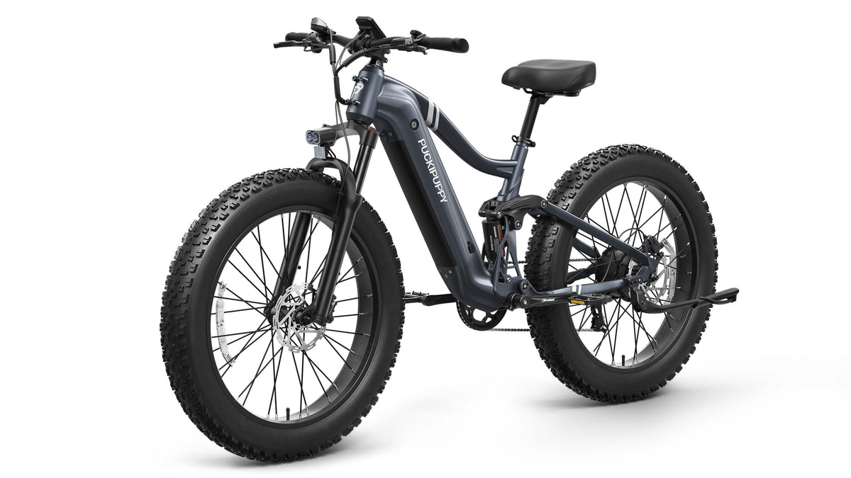 Puckipuppy Boxer Ebike - view 23