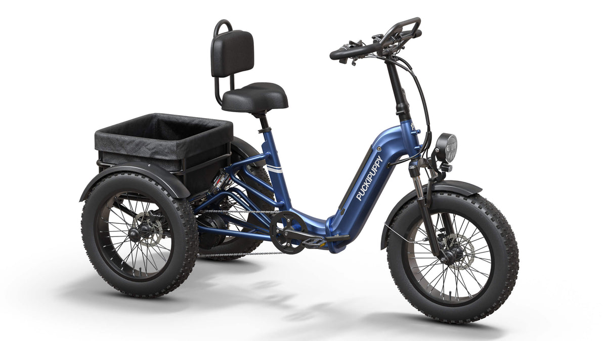 Puckipuppy Rottweiler Etrike - view 4