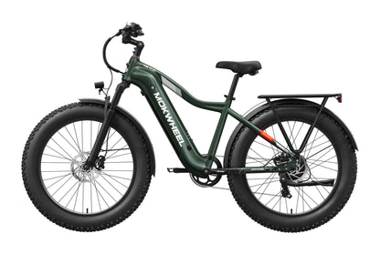 Tor Plus Ebike