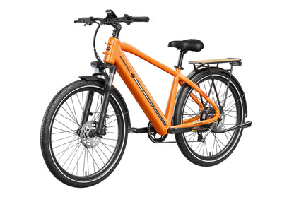 Asphalt Ebike