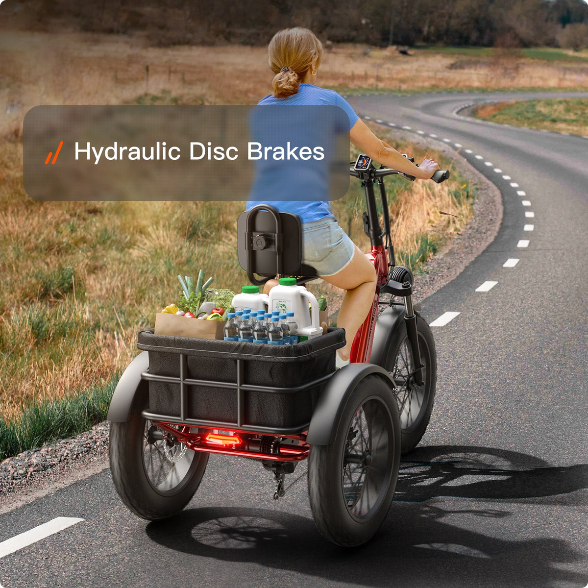 Puckipuppy Husky Plus Etrike - view 6