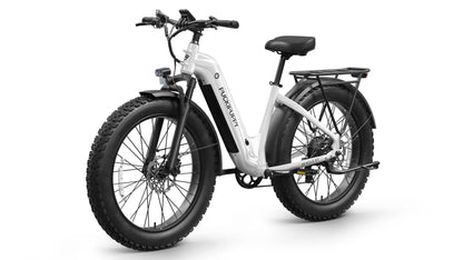 Puckipuppy Beagle 2 ST Ebike - view 9