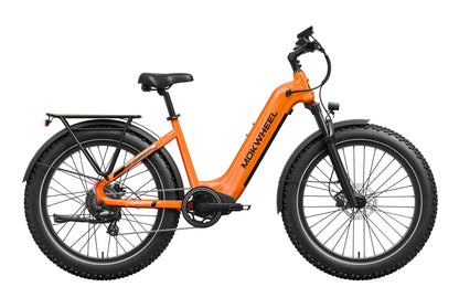 Basalt ST 2.0 Ebike