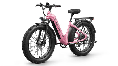 Puckipuppy Beagle 2 ST Ebike - view 6