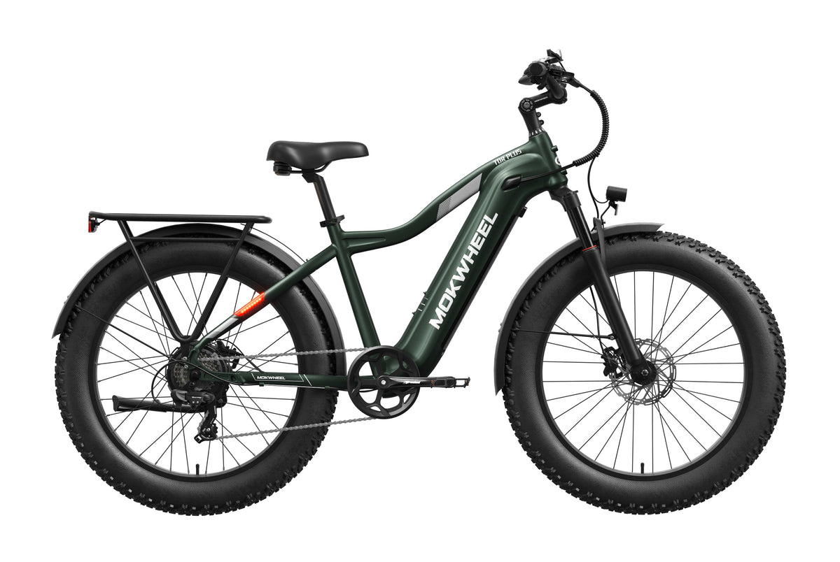 Tor Plus Ebike – Mokwheel product image 11