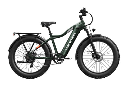 Tor Plus Ebike – Mokwheel product image 11