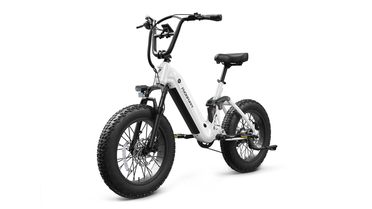 Puckipuppy Corgi Ebike - view 23