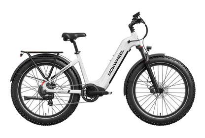 Basalt ST 2.0 Ebike