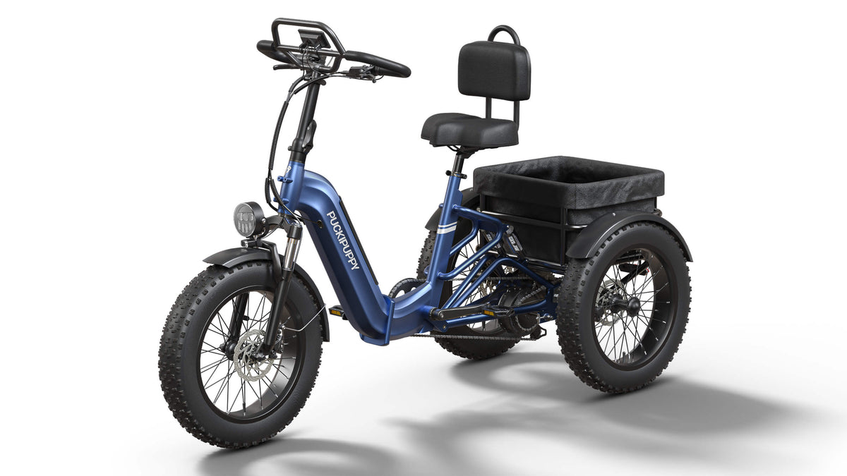 Puckipuppy Rottweiler Etrike - view 14