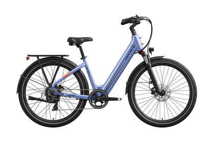 Asphalt ST Ebike