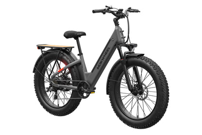 Mesa Plus ST Ebike