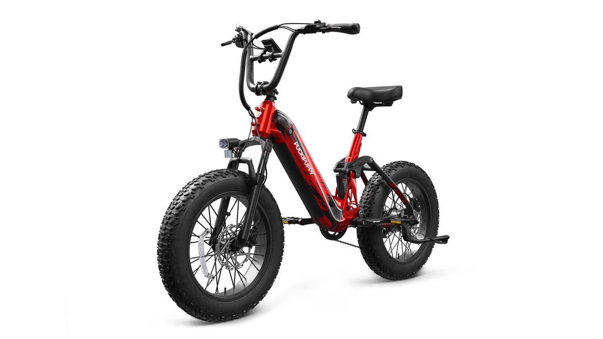 Puckipuppy Corgi Ebike - view 16