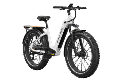 Basalt ST Ebike