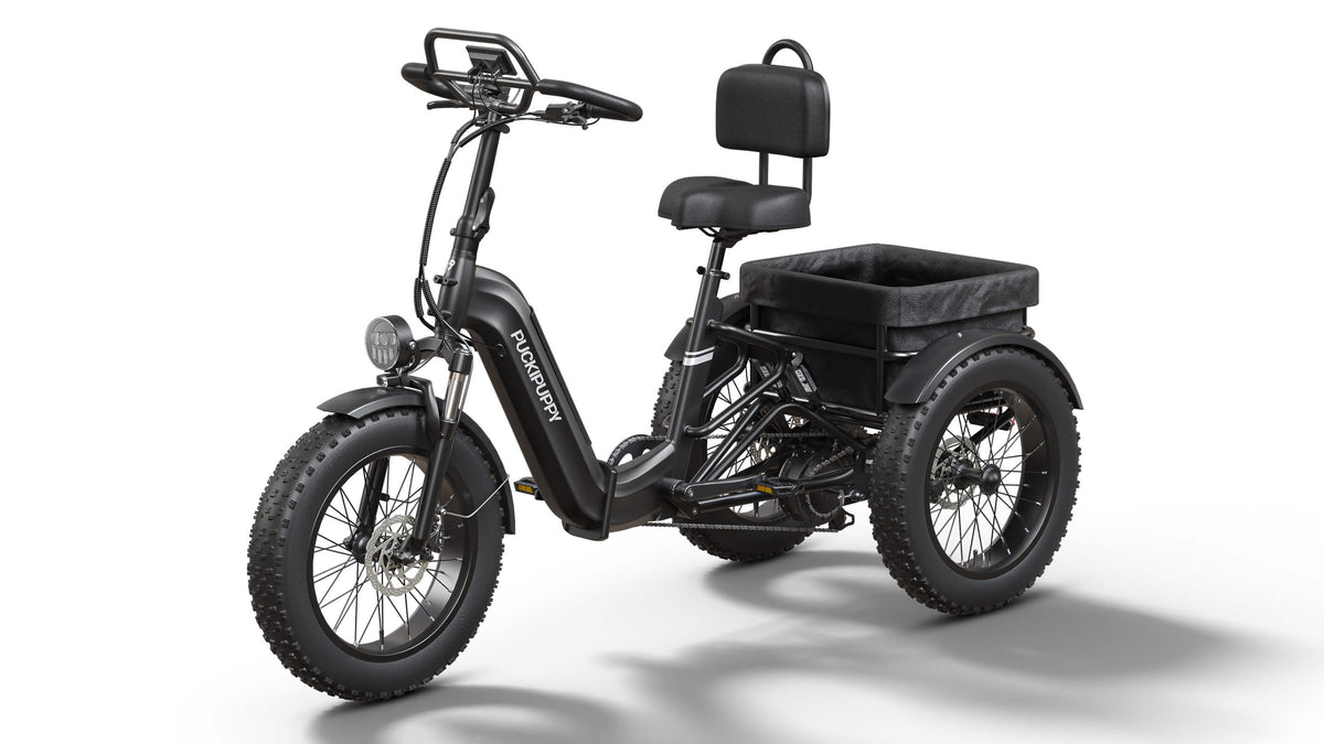 Puckipuppy Rottweiler Etrike - view 6