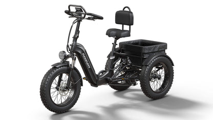 Puckipuppy Rottweiler Etrike - view 6
