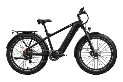 Basalt 2.0 Ebike