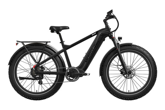 Basalt 2.0 Ebike