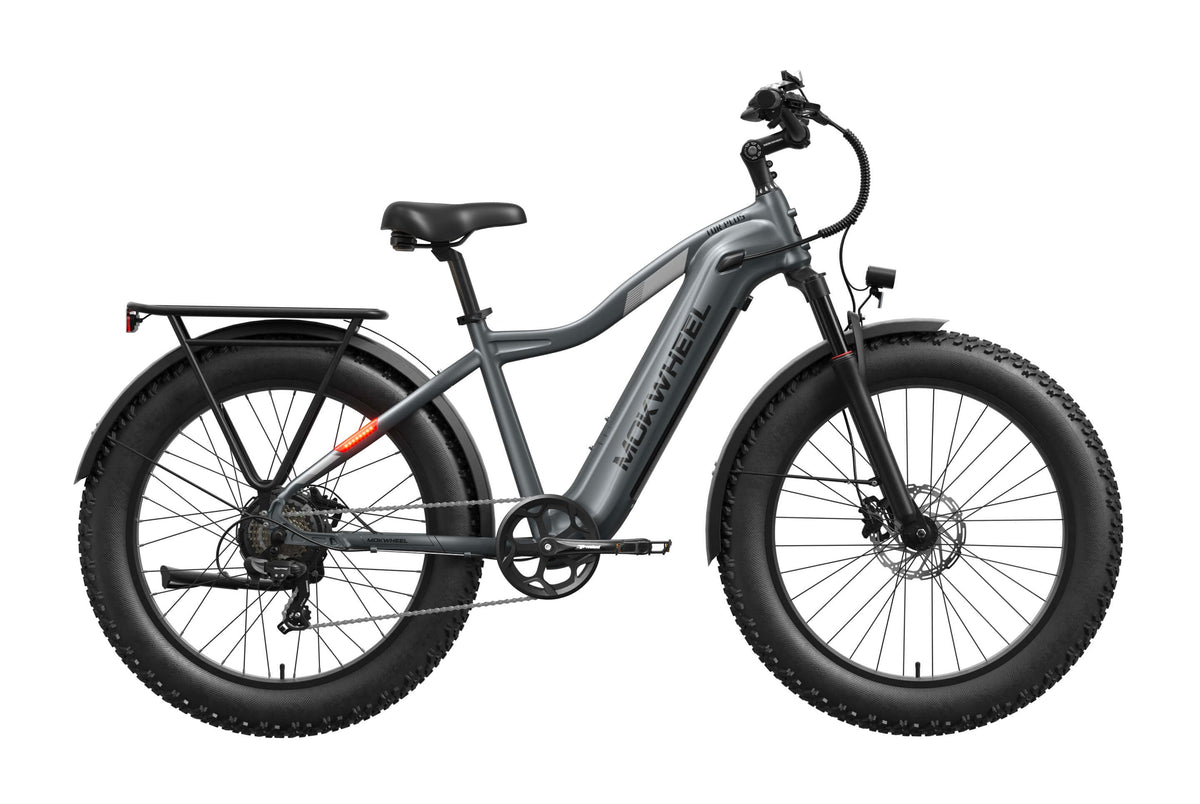 Tor Plus Ebike – Mokwheel product image 12
