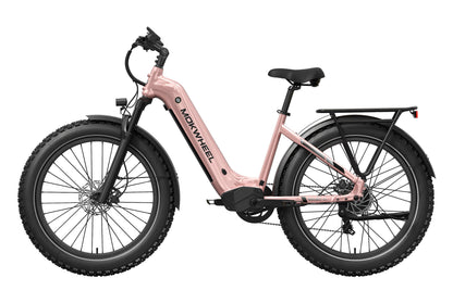 Basalt ST Ebike