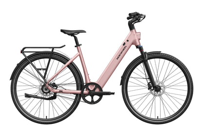 FLINT PRO ST Ebike