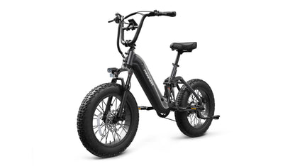 Puckipuppy Corgi Ebike - view 29