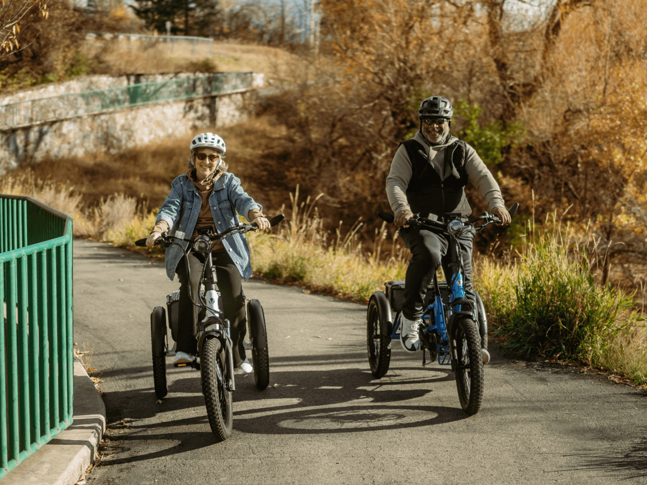 Velotric Triker Electric Tricycle