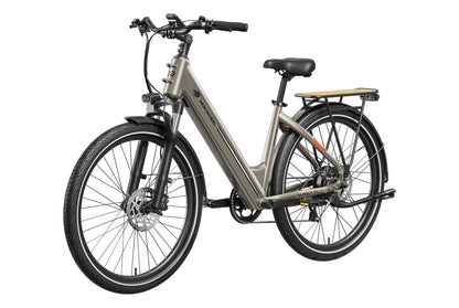 Asphalt ST Ebike