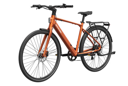 FLINT Ebike