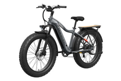 Tor Plus Ebike
