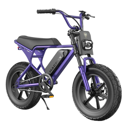 Macfox E-bike M16