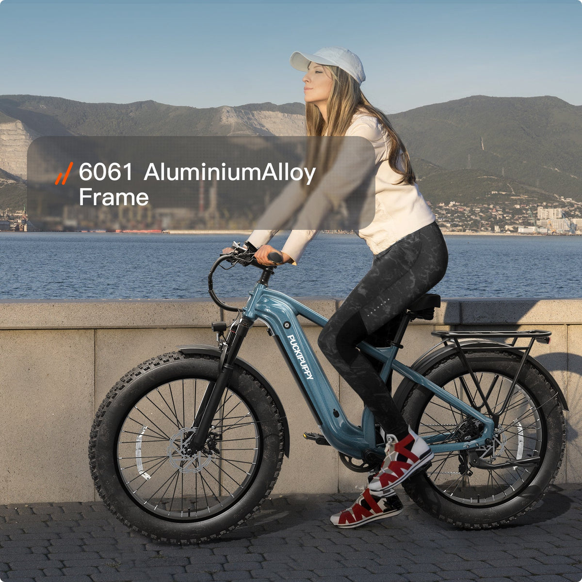 Puckipuppy Beagle 2 Ebike - view 4